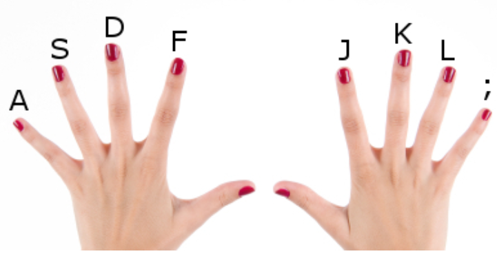 در انجام تایپ با ده انگشت، هر انگشت وظیفه ای مشخص را دارد.